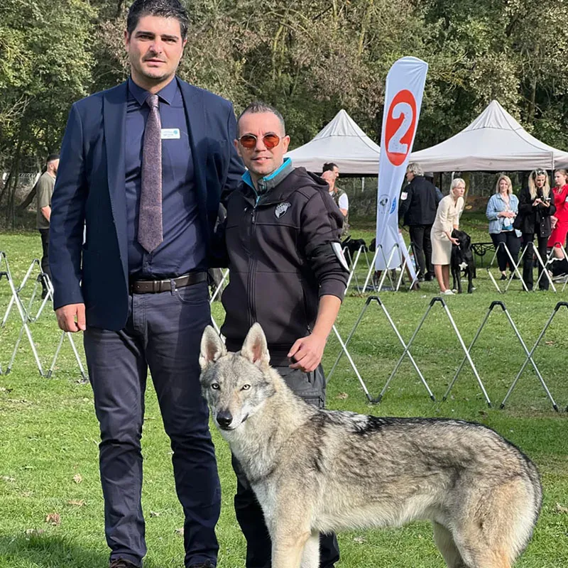 Köpek pansiyonu İstanbul - Güvenli konaklama