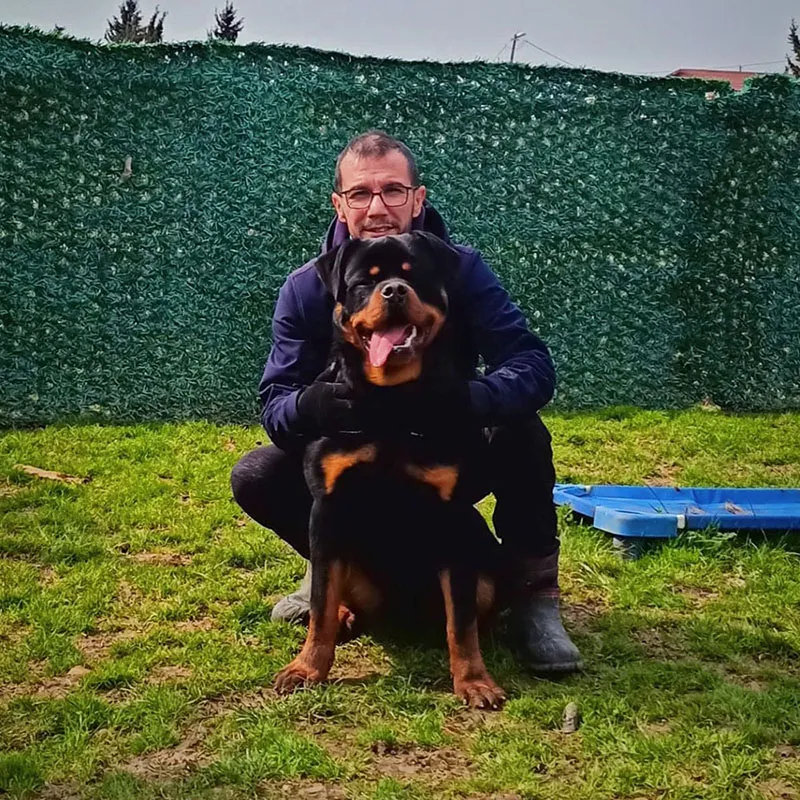 Köpek bakım ve kuaför hizmeti