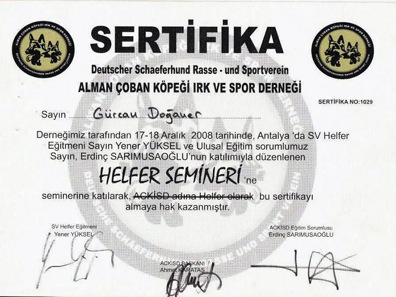 Helfer Semineri Sertifikası 2008