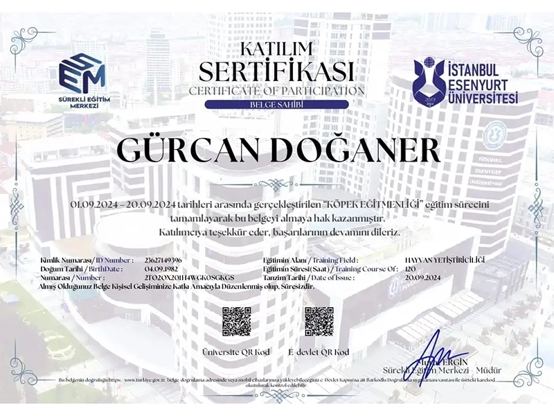 İstanbul Esenyurt Üniversitesi Katılım Sertifikası 2024